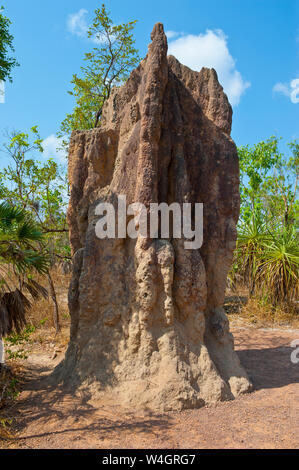 Termite mound in the Litchfield National Park, Northern Territory, Australia Stock Photo