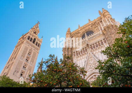 Cathedral of Seville and la Giralda, Seville, Spain Stock Photo