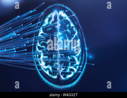 Artificial Intelligence, Fibre optics carrying data passing into brain Stock Photo