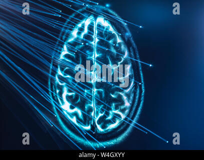 Artificial Intelligence, Fibre optics carrying data passing into brain Stock Photo