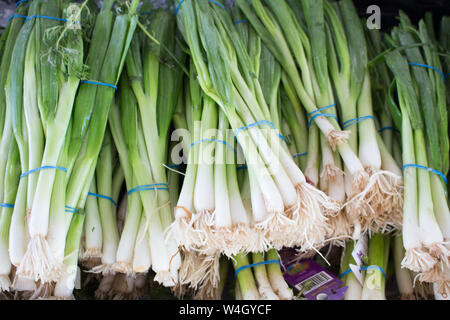 vegetales Stock Photo