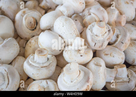 vegetales Stock Photo