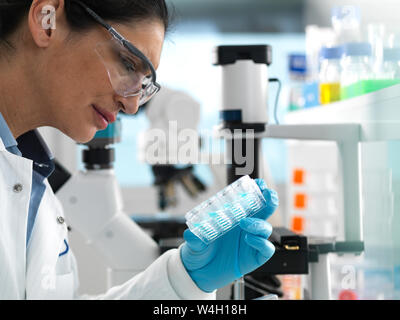 Biotech Research, Scientist viewing samples in multi well plate ready for analysis during a experiment in the laboratory Stock Photo