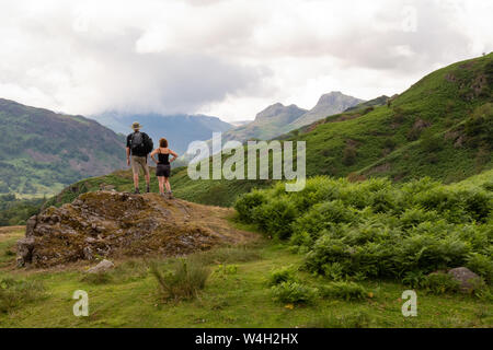 walkers near Elterwater, Great Langdale looking towards Langdale Pikes, Cumbria, Lake District, England, UK Stock Photo