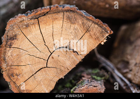 Pile of stacked triangle firewood prepared for fireplace and boiler. Background with pile of firewoods. Closeup of firewoods in the yard - pile of cho Stock Photo