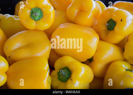 vegetales Stock Photo