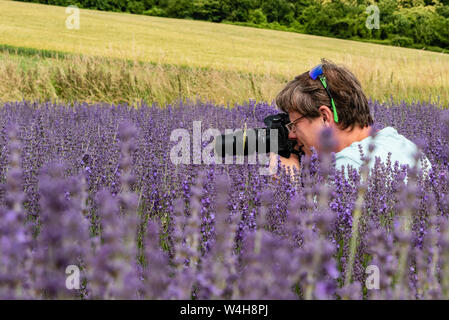 Photographer at work on the Lavender Farm Stock Photo