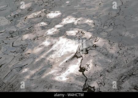 Reflection of tree branches and sunlight in water, closeup, abstract, nature background Stock Photo