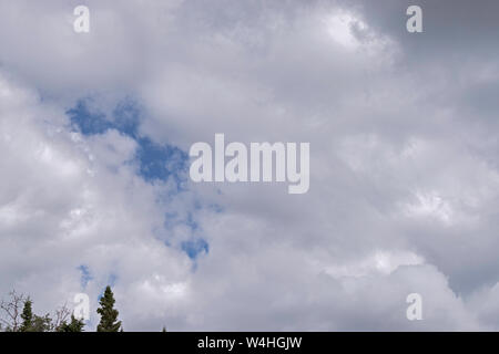 summer clouds gather over the forest near Fairbanks in Alaska showing an opening of blue sky over the tops of the trees Stock Photo