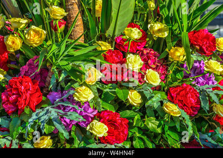 Bright joyful festive multicolor floral background from red peonies, yellow roses and purple hydrangea with green leaves. Feeling, expressing pleasure Stock Photo
