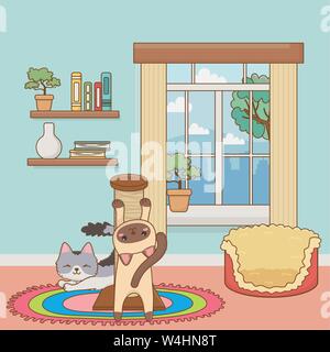 Cats cartoons design, Mascot pet animal domestic cute life nature and fauna theme Vector illustration Stock Vector