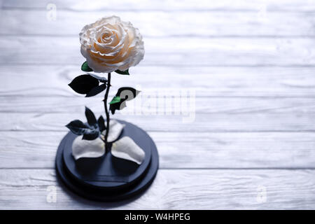 A white rose in a glass flask, an ever-living flower. The perfect gift for mother's day, valentine's day, anniversary or birthday. Stock Photo