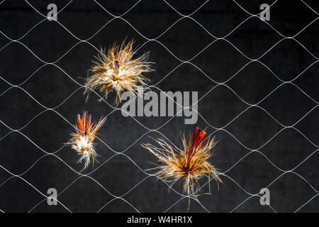Artificial flies in synthetic web on dark background. The concept of similarity of real insect fishing lure. Stock Photo