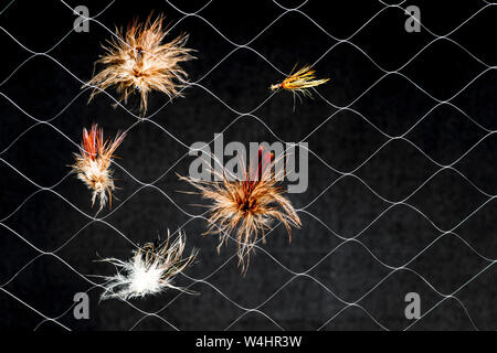 Artificial flies in synthetic web on dark background. The concept of similarity of real insect fishing lure. Stock Photo