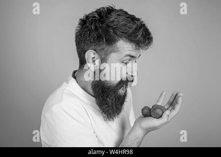 Hipster bearded holds strawberries on palm. Man shouting hungry greedy face with beard eats strawberries. Man greedy hungry not going to share strawberries blue background. Do not touch my berry. Stock Photo