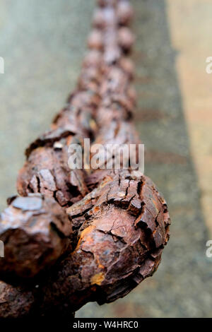 Heavy weathered and rusted chain on the ocean front at the Presidio near Golden Gate Bridge in San Francisco, California; concept of resilience. Stock Photo