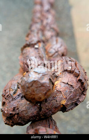 Heavy weathered and rusted chain on the ocean front at the Presidio near Golden Gate Bridge in San Francisco, California; concept of resilience. Stock Photo