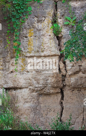 A giant crack runs down the length of a limestone canyon wall.  Various types of green vegetation and yellow moss grow from the fissures in the limest Stock Photo