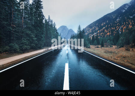 Asphalt mountain road in foggy forest in overcast rainy day Stock Photo