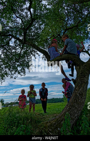 Group of young children playing outside and climbing on a tree Stock Photo
