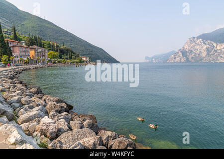 A view of Lake Garda, looking south from Trobole, with ducks in the foreground and flanked on either sides by the mountains. Stock Photo