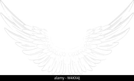 Vector white background with pair of wings. Angel wings Stock Vector
