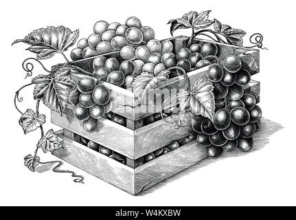 Antique engraving illustration of organic grapes in the basket black and white clip art isolated on white background,organic grapes branding inspirati Stock Vector