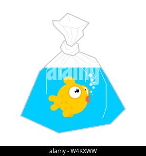 Goldfish in plastic bag isolated. vector illustration Stock Vector