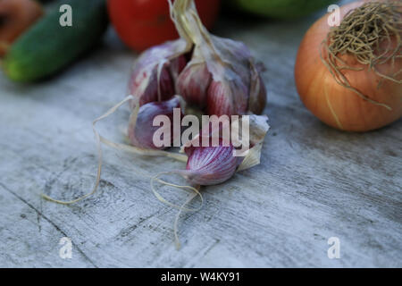 fresh garden vegetables - garlic, onion, zucchini, tomatoes, cucumber on a light wooden background. Stock Photo