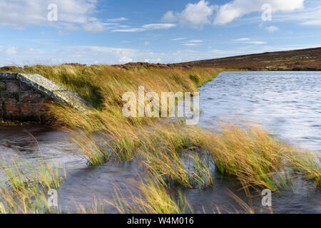 Lower Lanshaw Dam high on scenic moorland uplands (windblown grass, rippling water, brick wall & blue sky) - Burley Moor, West Yorkshire, England, UK. Stock Photo