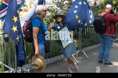 Westminster, London, UK July 24th. A few protesters out early ahead of the resignation of Prime Minister Theresa May, and the appointment of her successor the Rt Hon Boris Johnson MP (Prime Minister in waiting) Credit: Bridget Catterall/Alamy Live News Stock Photo