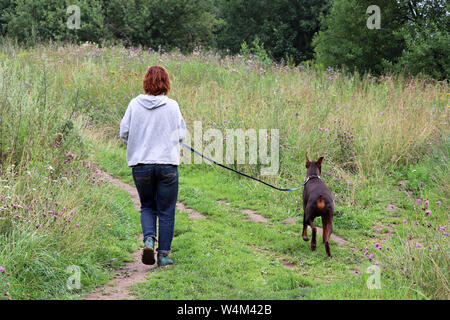 Woman and dog running in a green meadow with wildflowers. Summer walking on a nature, healthy lifestyle, redhead girl on a morning jog after a rain Stock Photo