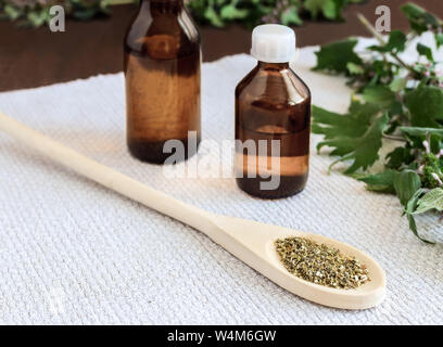 Valuable medicinal plant-motherwort with flowers and leaves on a white background. Next comes the plant in dried and crushed form for the preparation Stock Photo