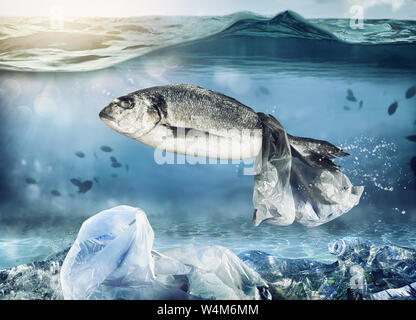 Trapped fish by a floating bag. Problem of plastic pollution under the sea concept Stock Photo