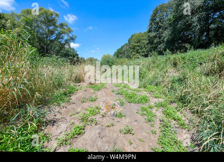 Senftenberg, Germany. 23rd July, 2019. The riverbed of the Black Magpie, a tributary of the Elbe, is dried up. For weeks the rain has been missing in many regions of Brandenburg. The water in lakes and rivers is getting scarcer and scarcer. Some rivers have extremely low water levels. The Schwarze Elster between Kleinkoschen and Senftenberg (Oberspreewald-Lausitz) has dried up completely over a length of about five kilometres. Credit: Patrick Pleul/dpa-Zentralbild/ZB/dpa/Alamy Live News Stock Photo