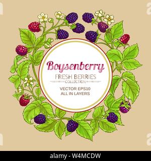 boysenberry vector frame on color background Stock Vector