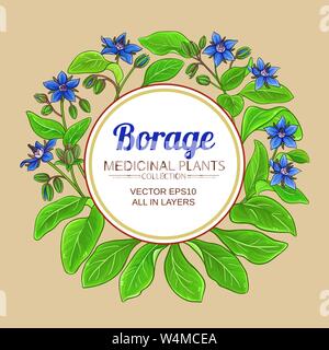 borage vector frame on color background Stock Vector
