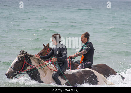 Longrock, Cornwall, UK. 24th July 2019. UK Weather. Rider and horses from Cornwall Swimming Horses cooling off in the heatwave with a dip in the sea this morning.  Credit Simon Maycock / Alamy Live News. Stock Photo