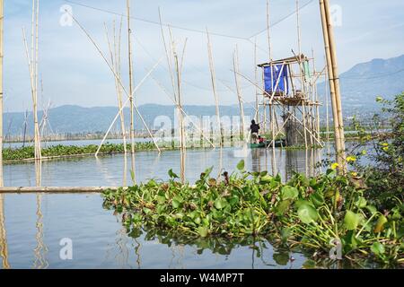 October, 6 2018. Ambarawa, Indonesia. Fishermen on Rawa Pening Lake, Central Java, Indonesia Stock Photo