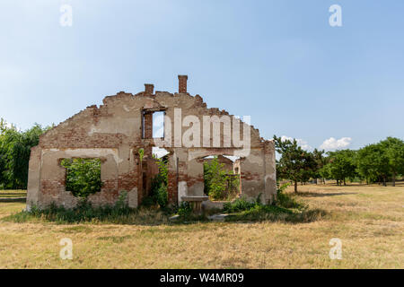 A ruined old abandoned house without a roof on the yellow meadow on summer sunny day and blue sky and tree in the background Stock Photo