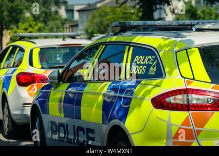 Two parked police cars, one a dog unit car, parked in dappled shade on a hot summer's day Stock Photo
