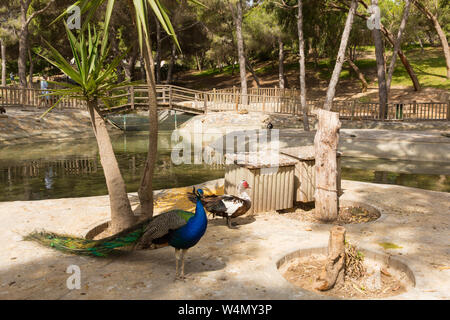 Reina Sofia Park Guardamar del Segura Costa Blanca Spain tourist attraction with wildlife and gardens Stock Photo