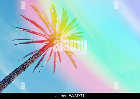 Abstract one palm tree against colorful sky background with trendy rainbow light leak effect. Low angle view template with copy space Stock Photo