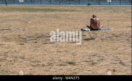 24 July 2019, Hessen, Frankfurt/Main: A man sits in the summer heat on a withered meadow on the banks of the Main river. Photo: Frank Rumpenhorst/dpa Stock Photo