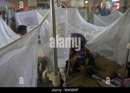 To help fight spread of Dengue fever, mosquito nets have been put up in a ward at the city's Shaheed Suhrawardy Medical Hospital.Cases of Dengue infections have been on the rise, particularly in the capital since March this year. Stock Photo