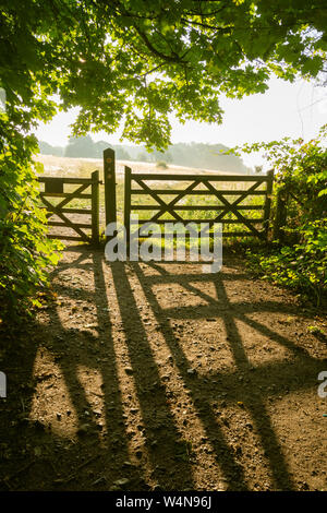 View of Denbies Hillside from Ranmore Common woodland on a misty summer morning. North Downs, Surrey Hills AONB landscape, UK. Stock Photo