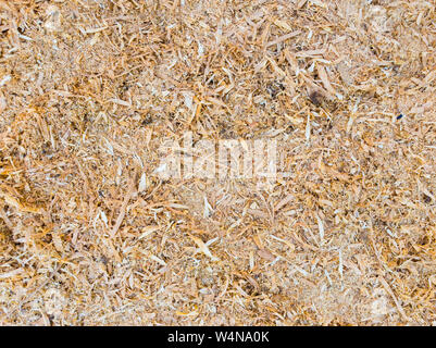 .Abstract sawdust or wood dust texture background. Close up top view of dry wood shavings, industry concept. Stock Photo