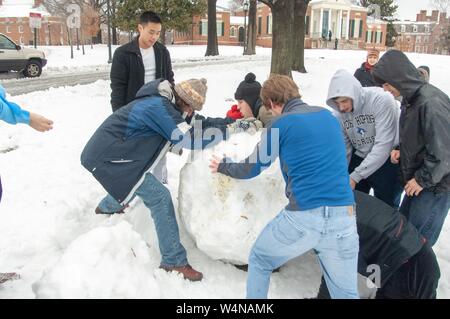 A group of students works together to roll a giant snowball, on a quad near the Homewood Museum, at the Johns Hopkins University, Baltimore, Maryland, February 14, 2007. From the Homewood Photography Collection. () Stock Photo