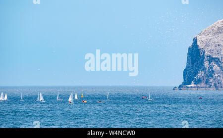North Berwick, East Lothian, Scotland, United Kingdom, 24 July 2019. RS Aero Challenge Cup: East Lothian Yacht Club hosts the sailing regatta with 80 sailing dinghies competing for a challenge handicap cup ahead of the UK National & International Open championship which takes place over 4 days from tomorrow. The dinghies race around a course in the Firth of Forth near the Bass Rock gannet colony with thousands of gannets flying around them Stock Photo