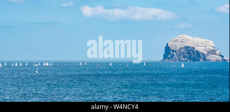 North Berwick, East Lothian, Scotland, United Kingdom, 24 July 2019. RS Aero Challenge Cup: East Lothian Yacht Club hosts the sailing regatta with 80 sailing dinghies competing for a challenge handicap cup ahead of the UK National & International Open championship which takes place over 4 days from tomorrow. The dinghies race around a course in the Firth of Forth near the Bass Rock gannet colony with thousands of gannets flying around them Stock Photo
